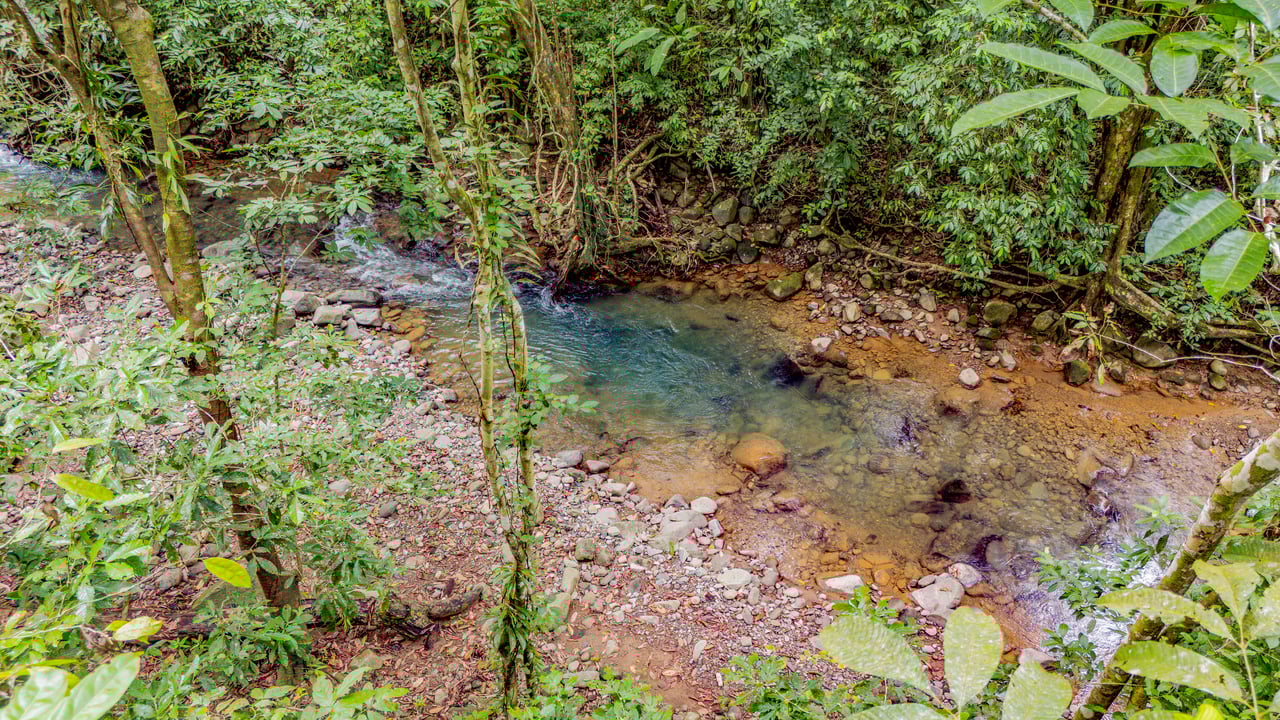 Modern 3-Bed Jungle Home with River and Pool in Cinco Ventanas Ojochal
