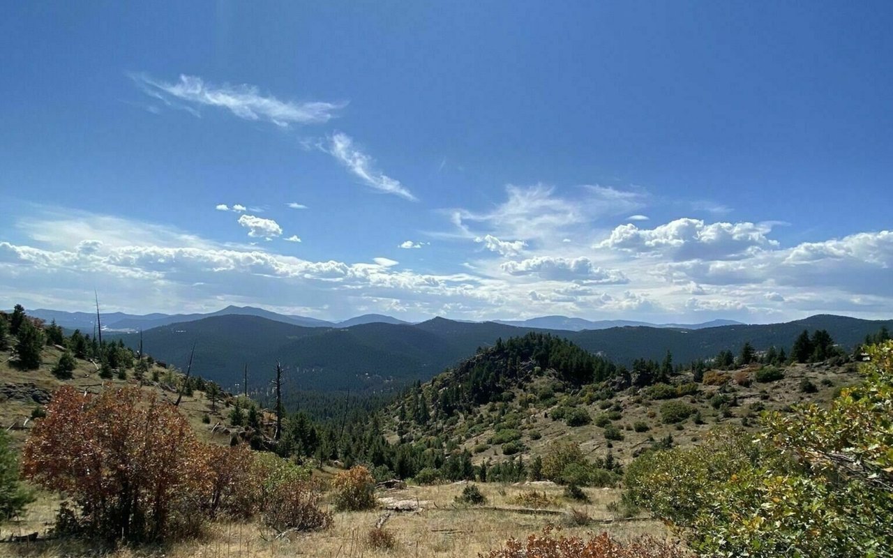 Find Joy on the Trails at Mount Falcon Back Side