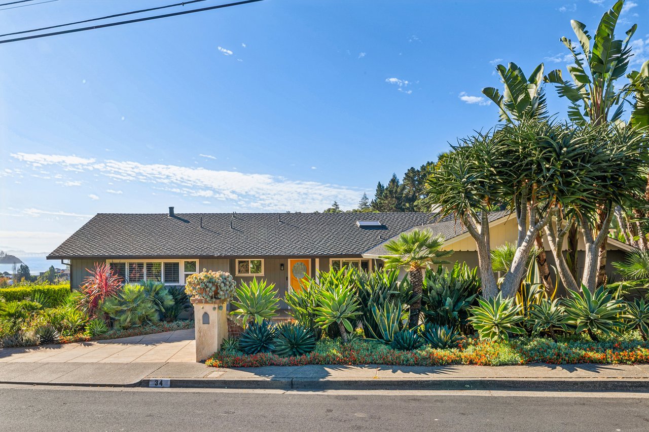 Single-level home with a lush garden of palms and succulents along the front walkway.