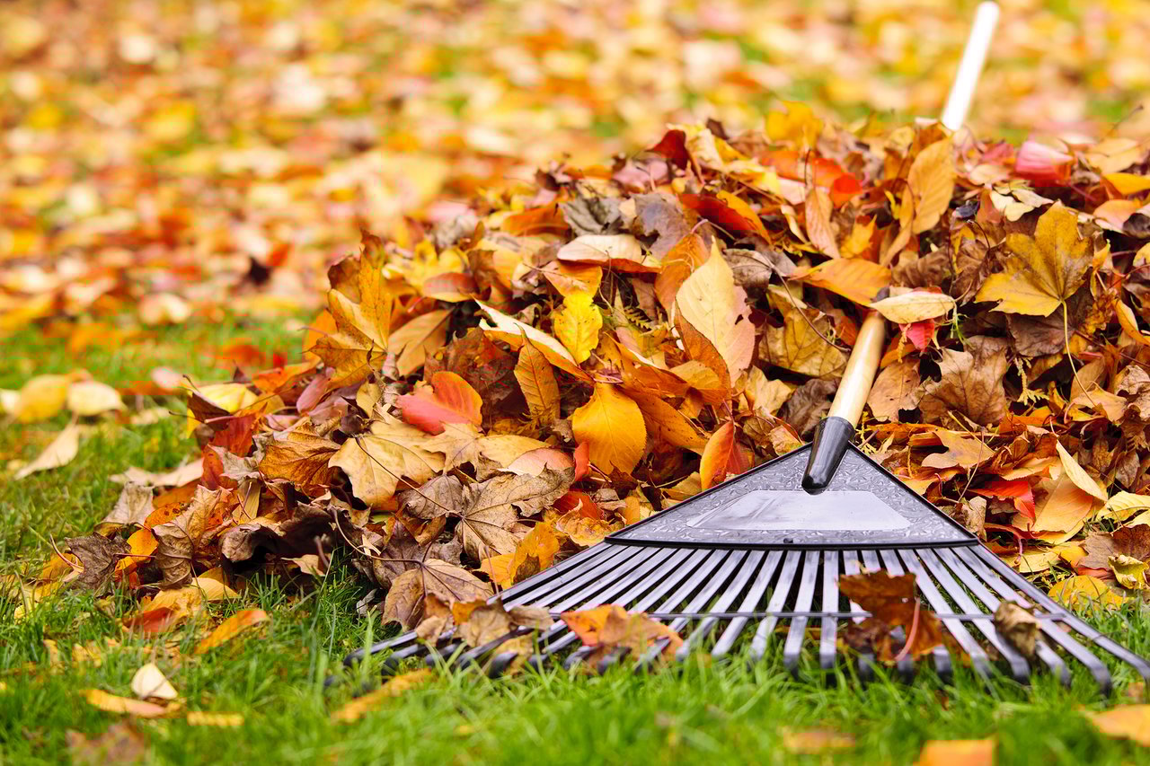 Home Maintenance Checklist for Every Season