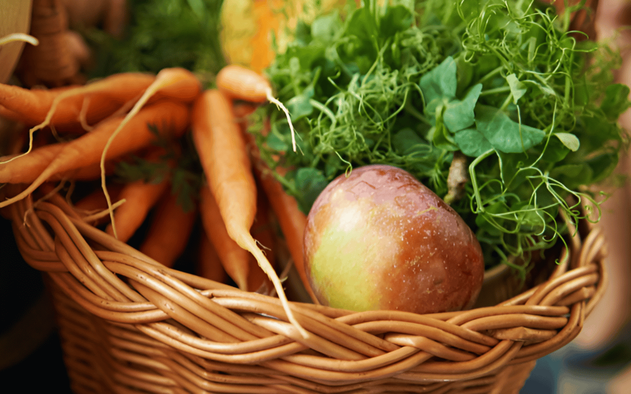 Must-Attend Summer 2024 Events in Bergen County