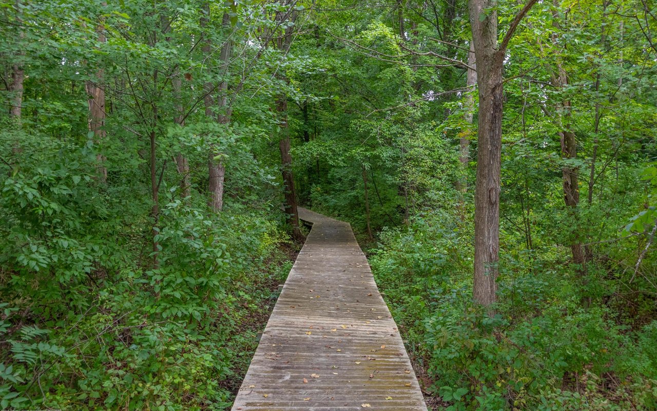 The Best Hiking Trails in and Around Okemos, Michigan