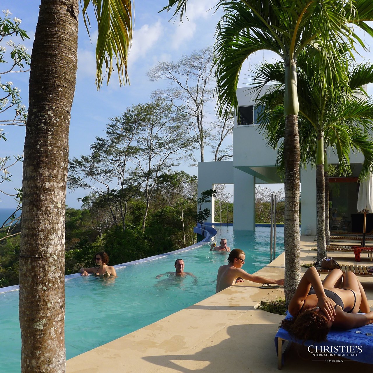 Jungle and Ocean Architectural Masterpiece