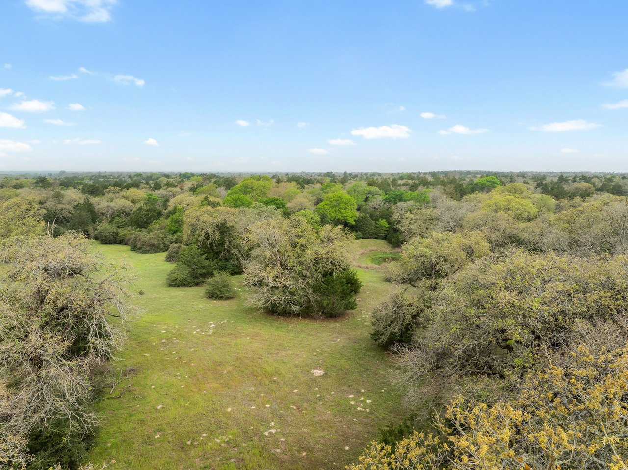 Acreage Estates on Pauline