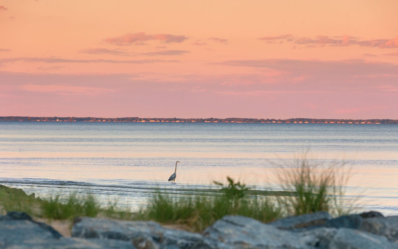 Edgewater