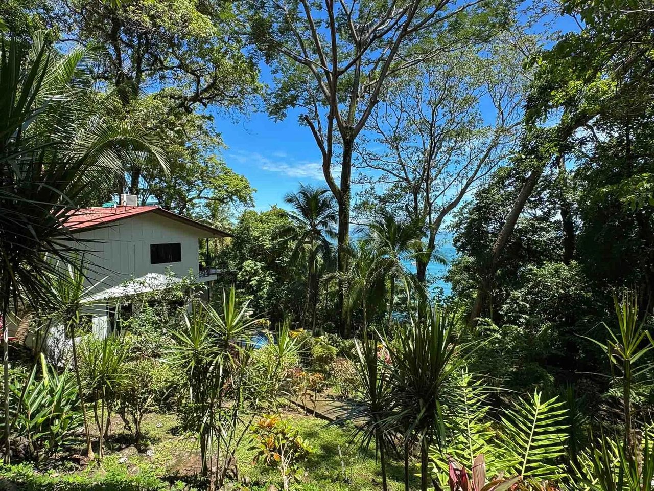 Ocean View Estate Property