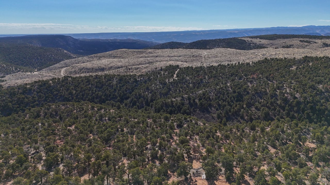 1 W Elk Meadows