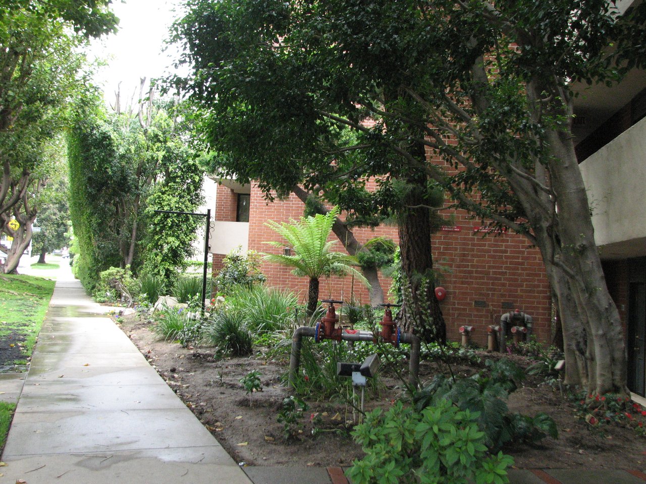 11750 W Sunset Blvd Unit 313