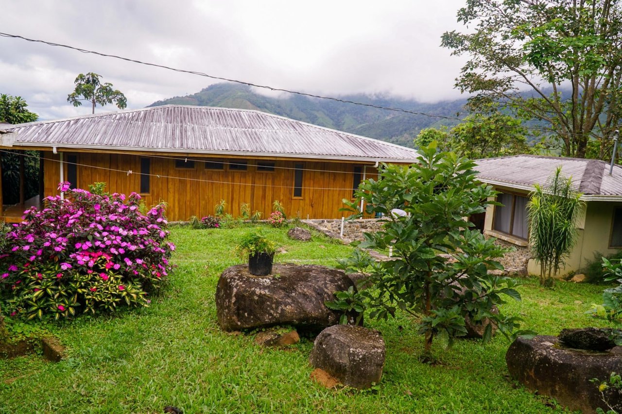 Sustainable Organic Mountain Farm, Perez Zeledon, San Jose