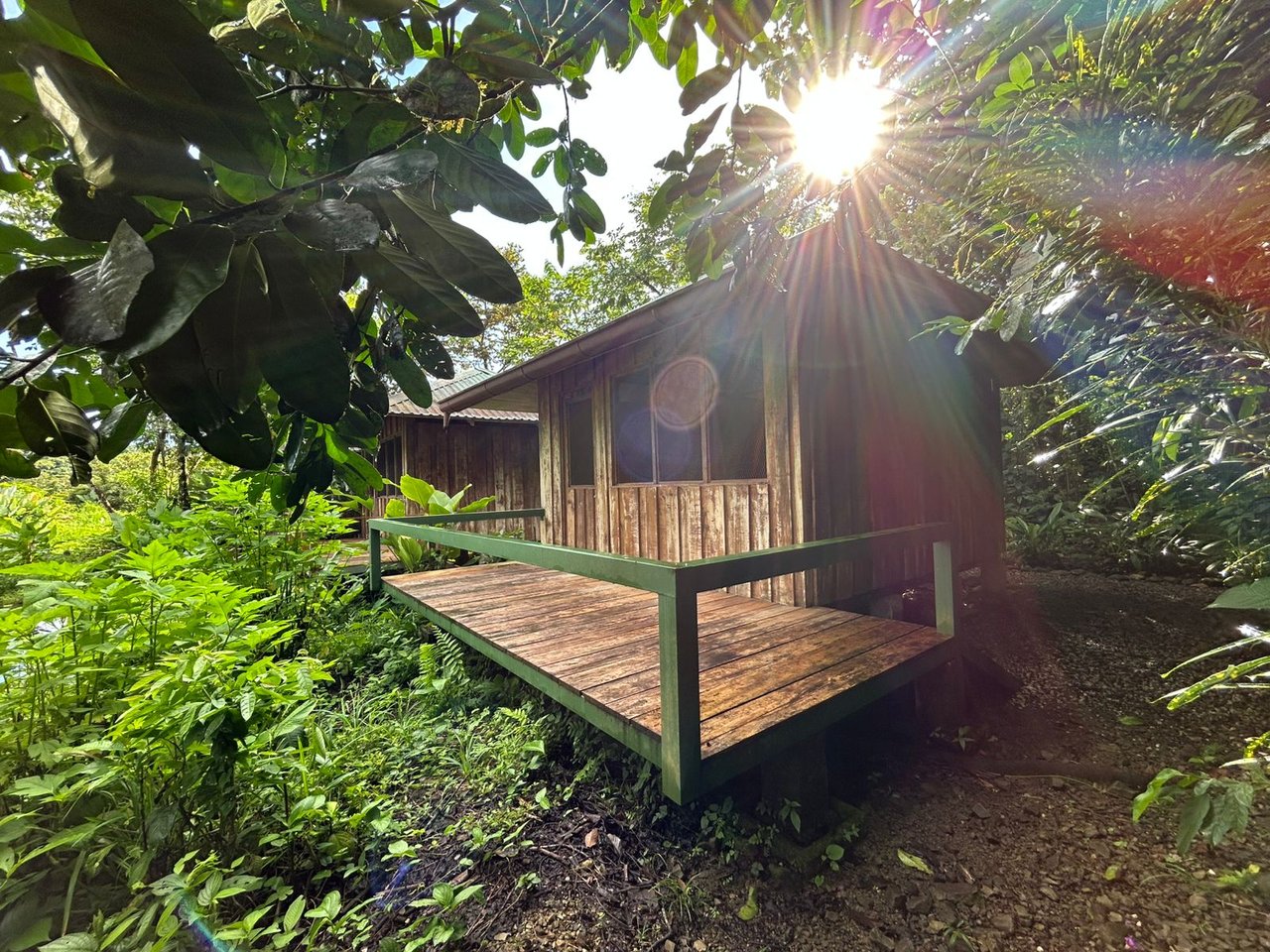 60 Acre Fully Sustainable and Impactful Conservation Initiative Near Golfito