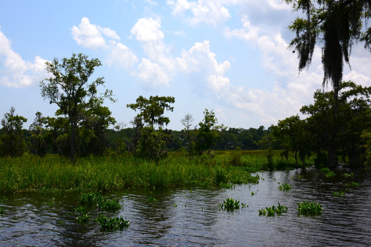 Allston River Bluffs