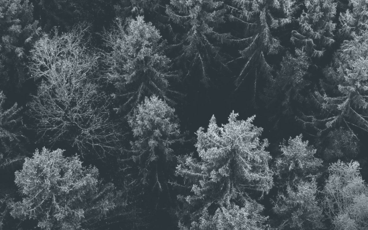 What to Expect This Winter in Reno
