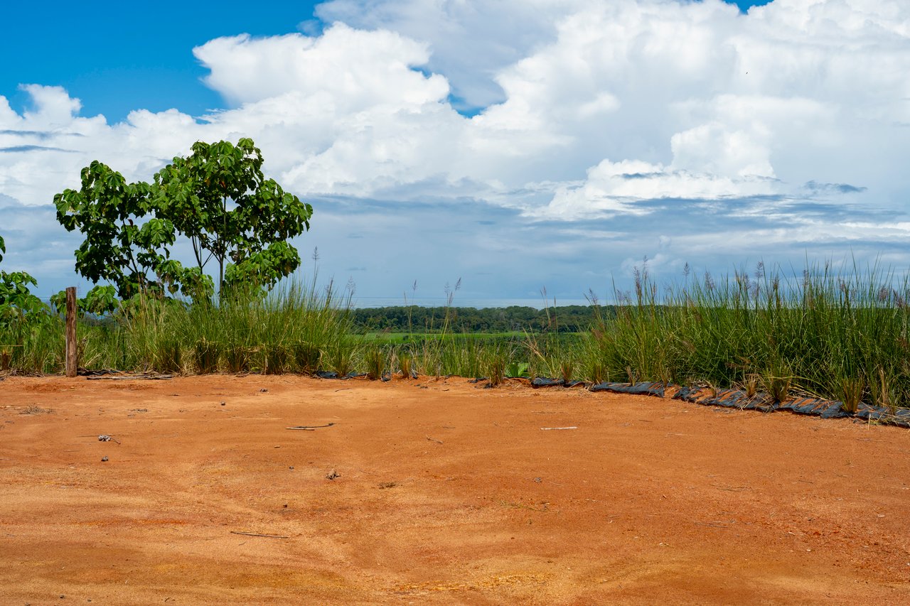 ¡New Gated Development in Matapalo - Ocean View and Flat Land, ready to build!