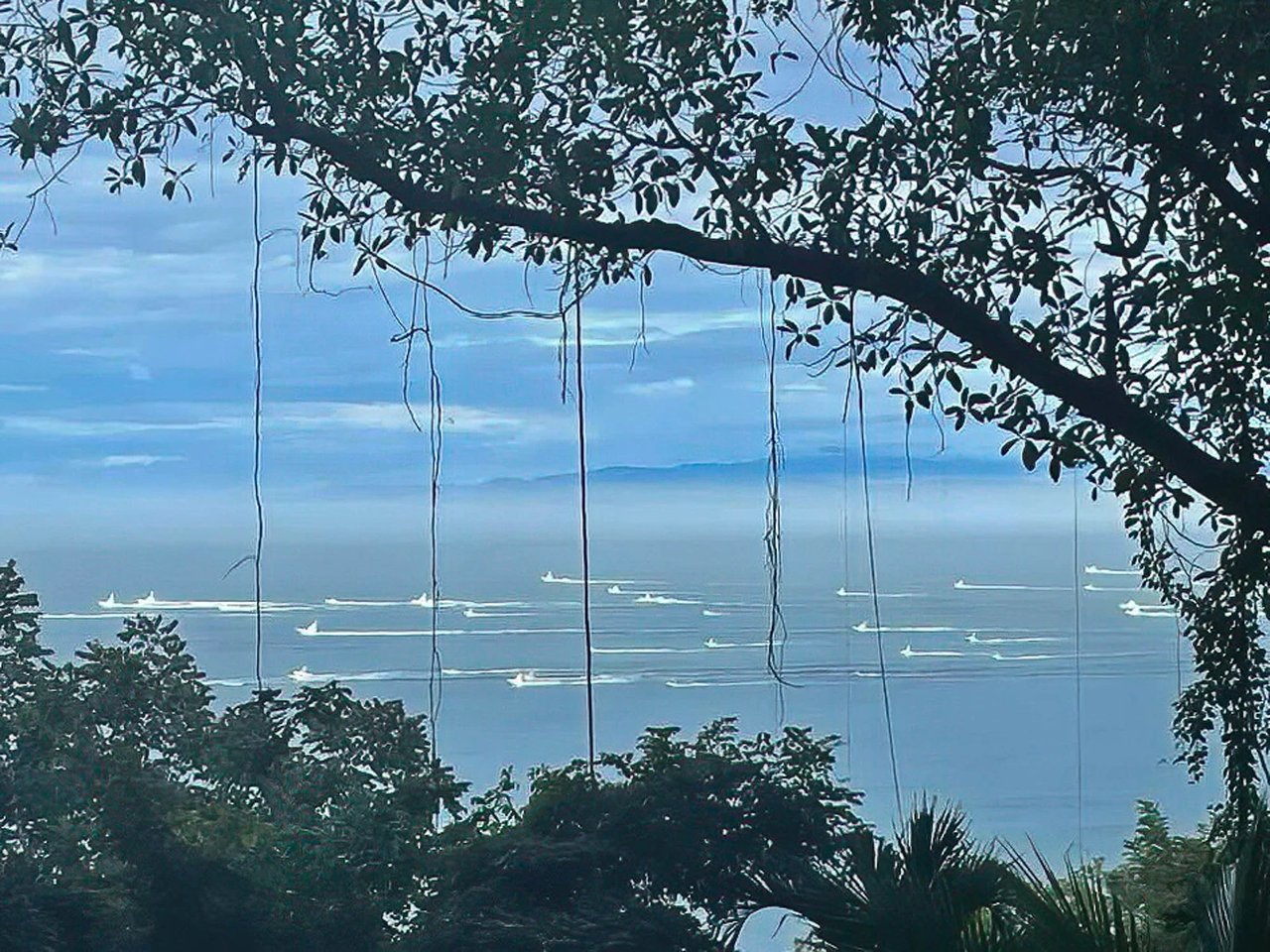 Ocean View Estate Property