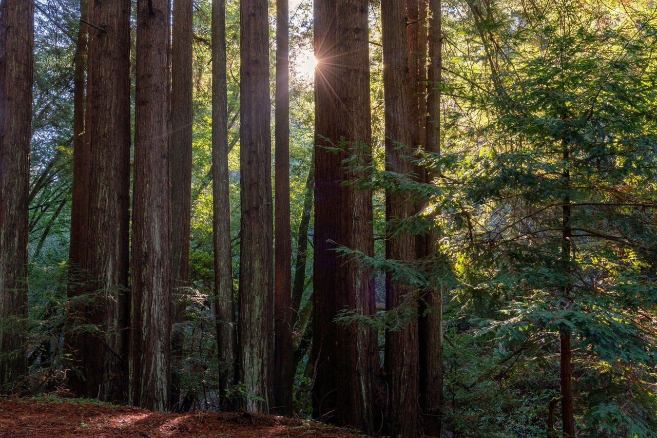 Marin County - 1M to 5M