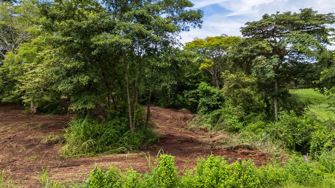 Lot Across Mar Vista | Prime 12,775 m² Development Lot Near Playa Flamingo with Subdivision Potential