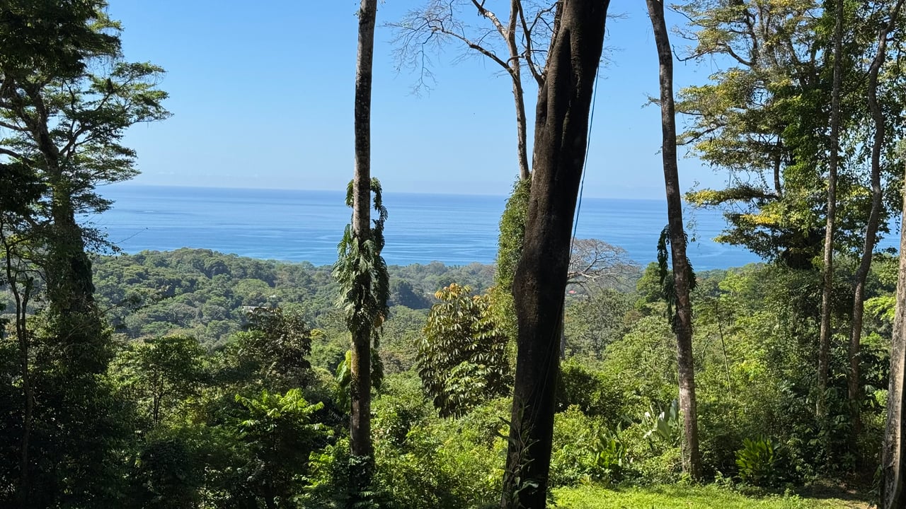 Two Ocean View Lots in Uvita – Easy Access and Large Building Sites