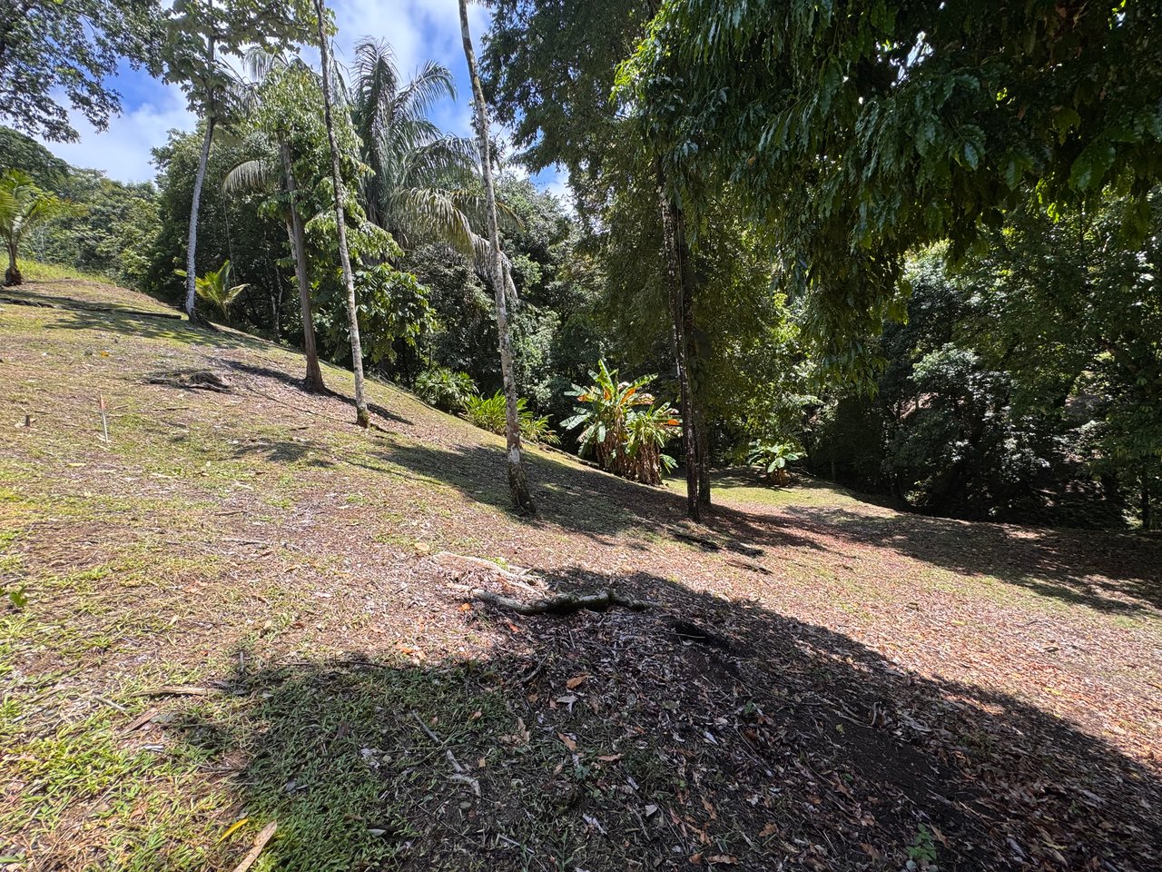 Walk to the Playitas beach, Titlled Building lot