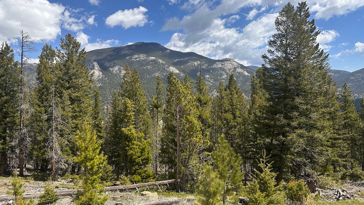Where the Road Meets the Sky: Driving Trail Ridge Road