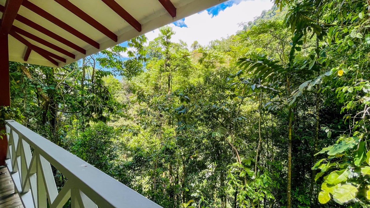 Nature Retreat Estate – Southern Pacific Zone, Costa Rica