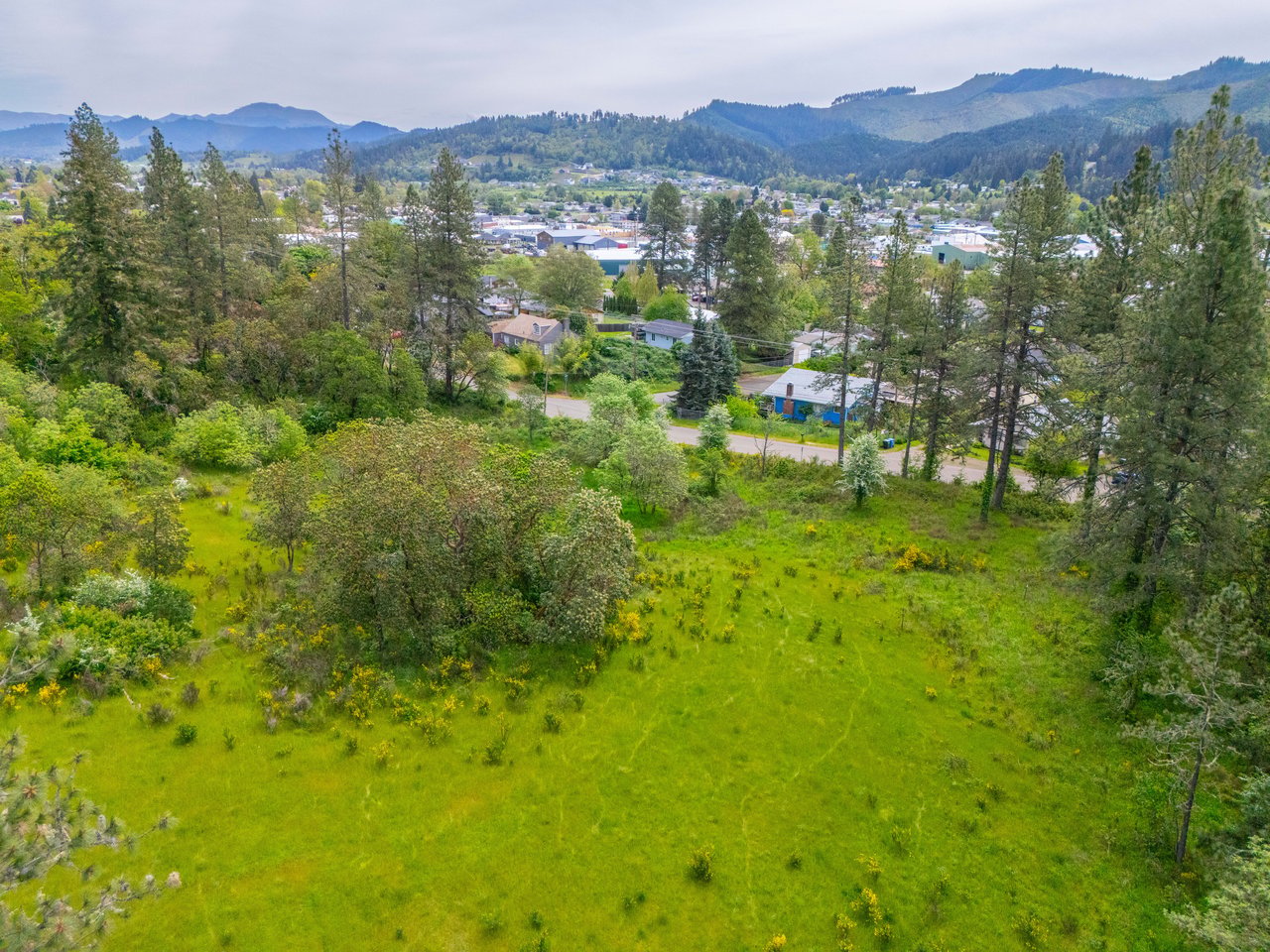 SUTHERLIN WOODLOTS