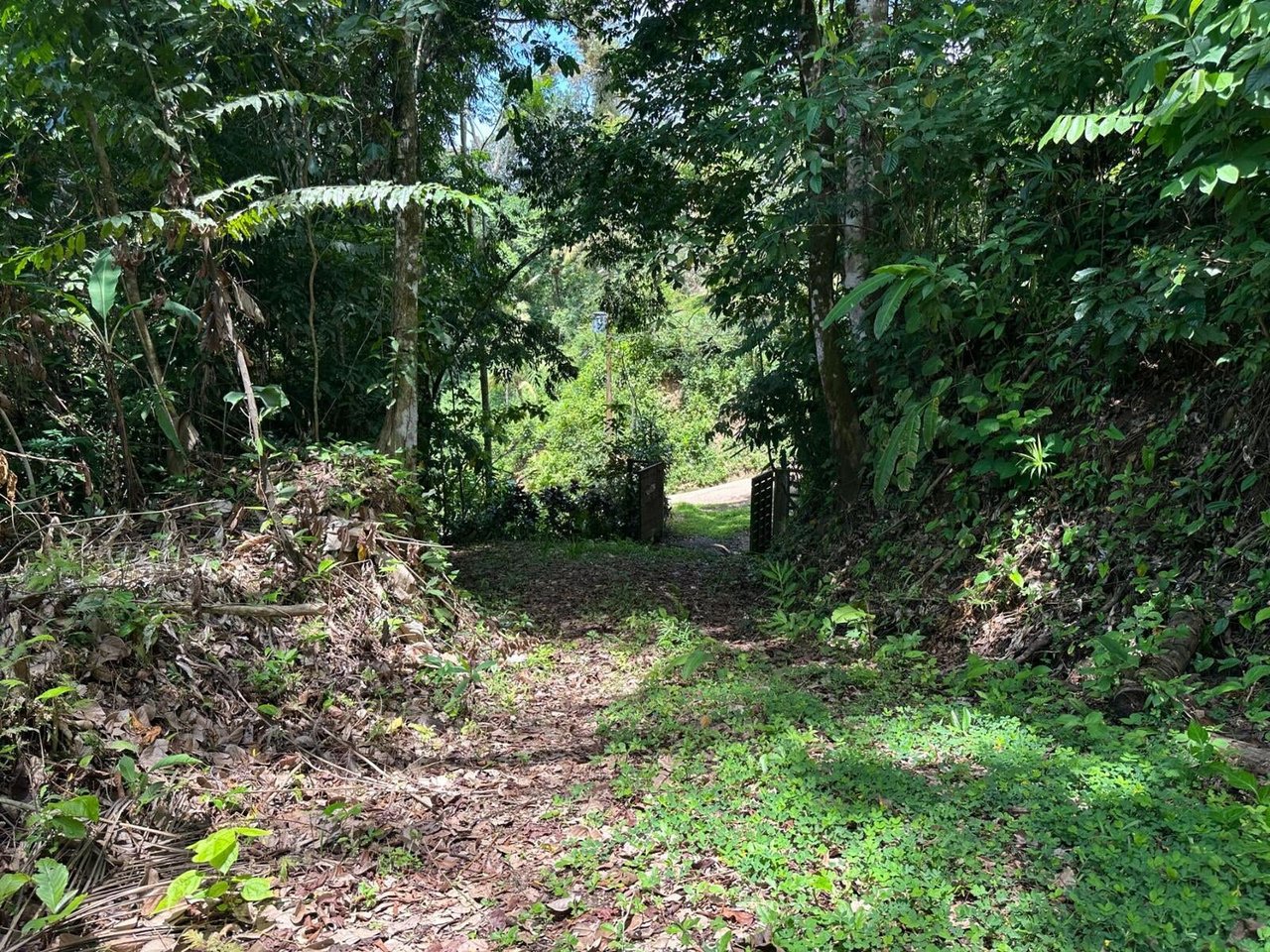 Private Waterfall Jungle Land, Uvita, Puntarenas