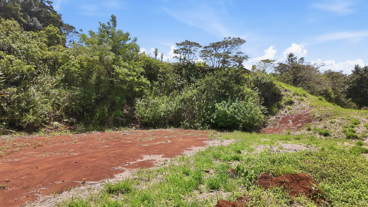 LAKEFRONT LOT - TURTLE COVE - LAKE ARENAL 