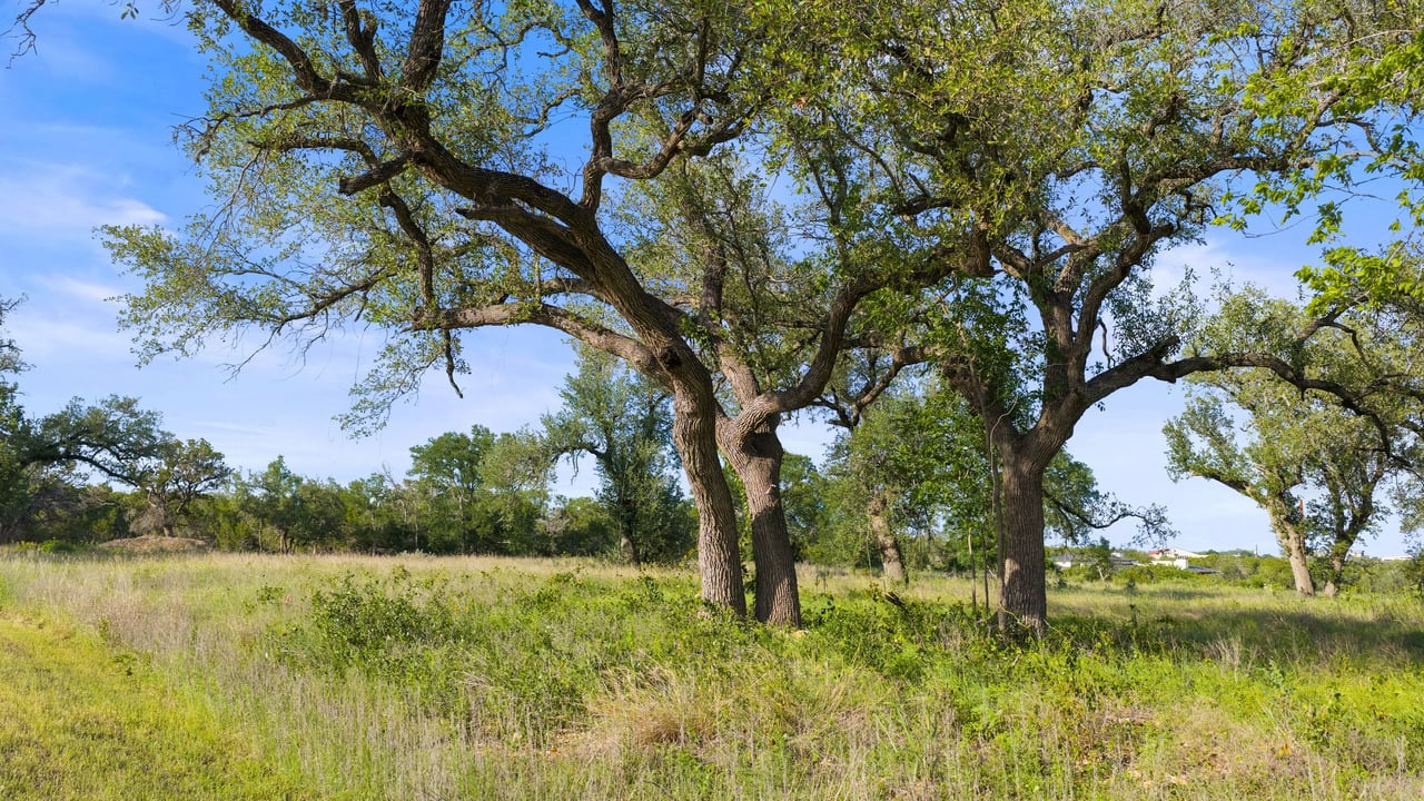 5311 Spring Preserve Trl LOT