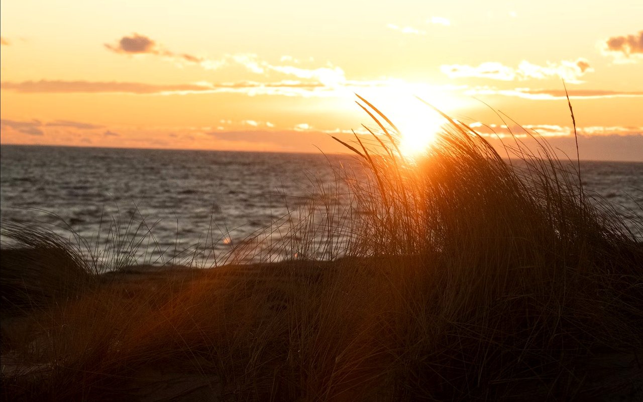Bridgehampton vs. East Hampton: Comparing Two Desirable Hamptons Hamlets