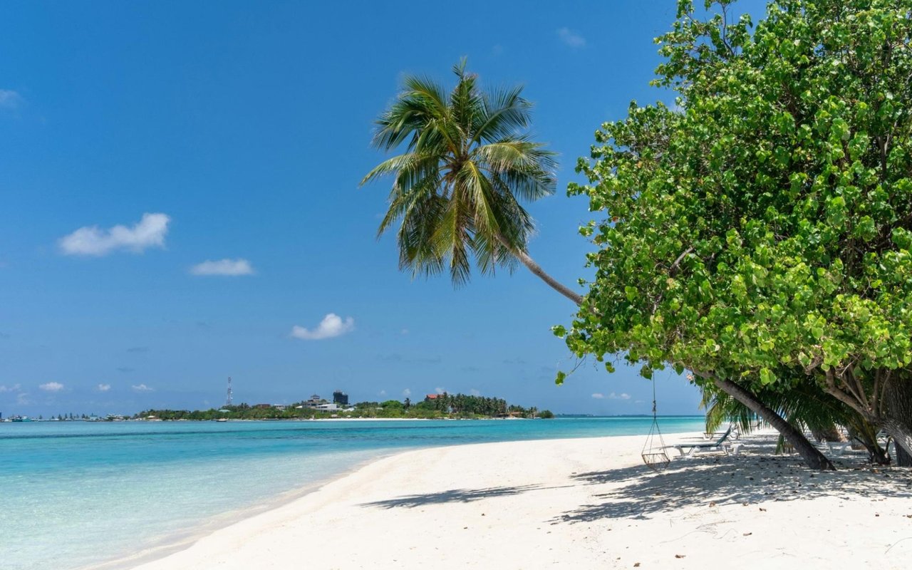 Private Island Escapes: Renting or Owning Your Own Piece of Paradise Near Anna Maria Island