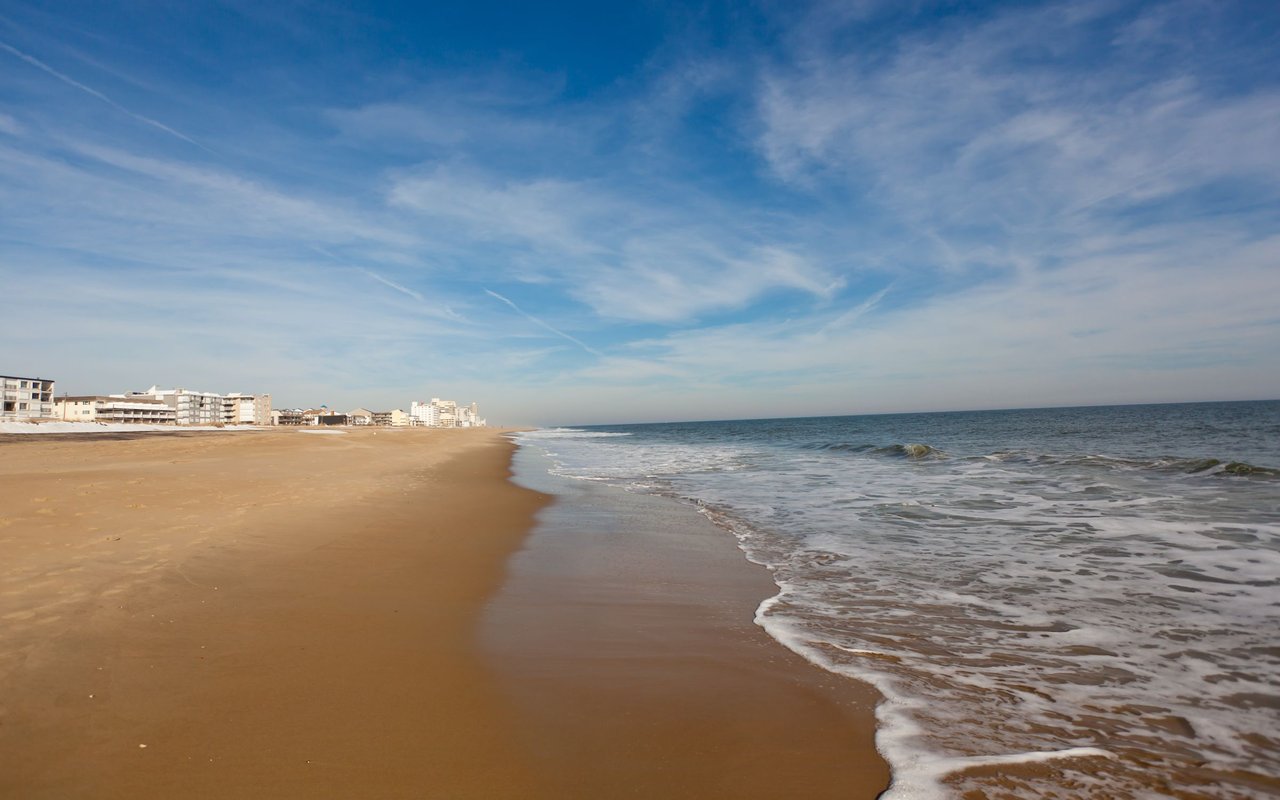 Ocean Front Properties