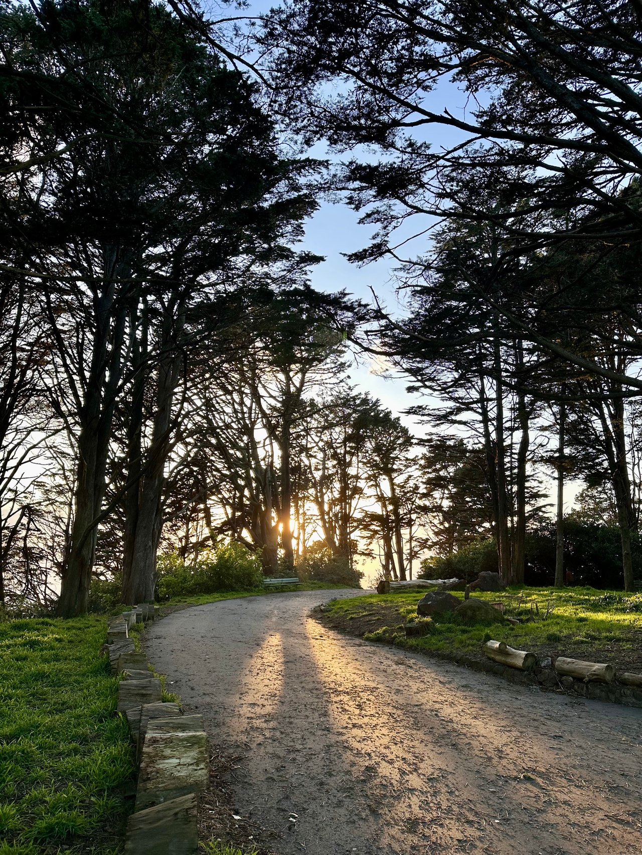 Cece's Q1 2025 Market Report