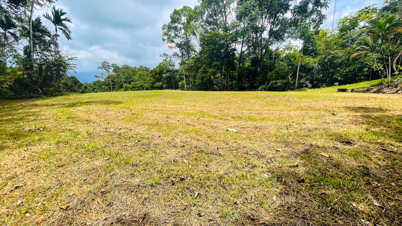 Scenic 2.53 Acres in Fila Cacao Ridge – Build-Ready Lot with Legal Water in Platanillo!