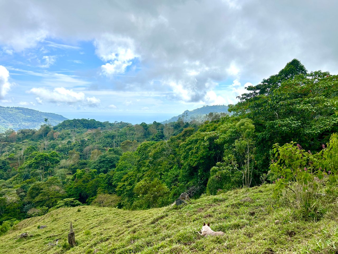 Gorgeous Land in San Luis Morete - Uvita - Over 17 Acres