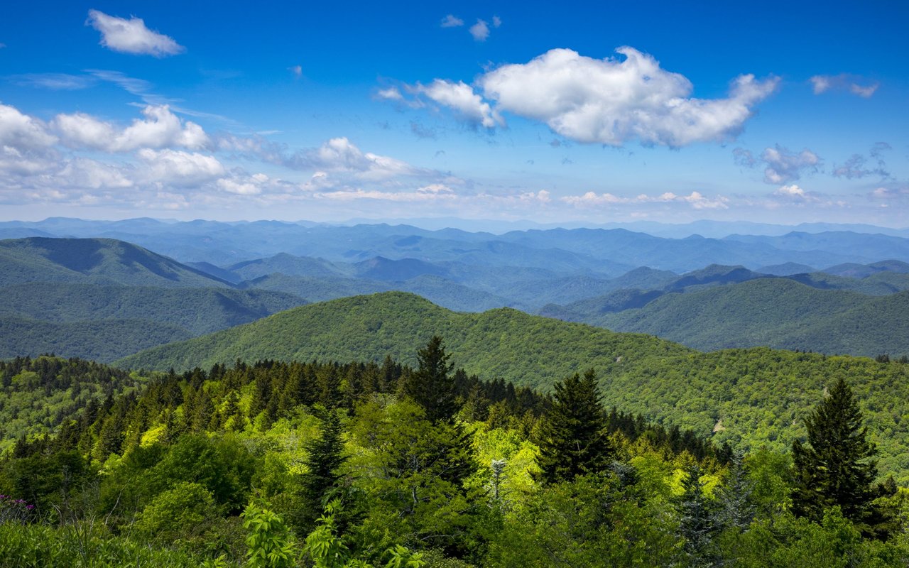 Sylva