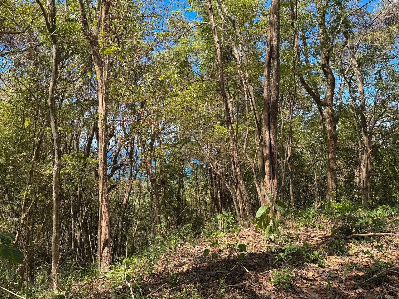 Refined Ocean View Development Parcel, Santa Teresa, Puntarenas