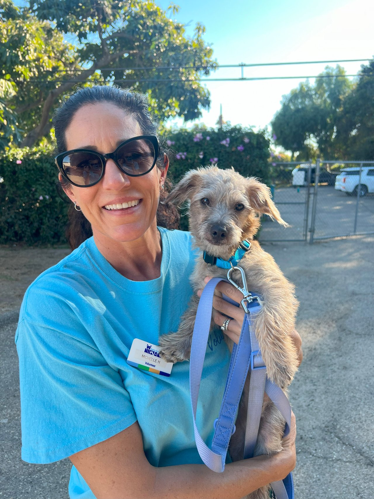 A Season of Gratitude and Giving: Santa Barbara Humane Spotlight