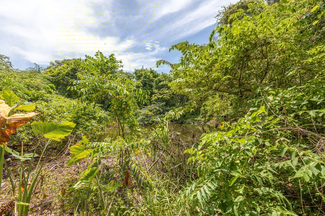 2.27 Acres close to Main Rd, Dixon Cove