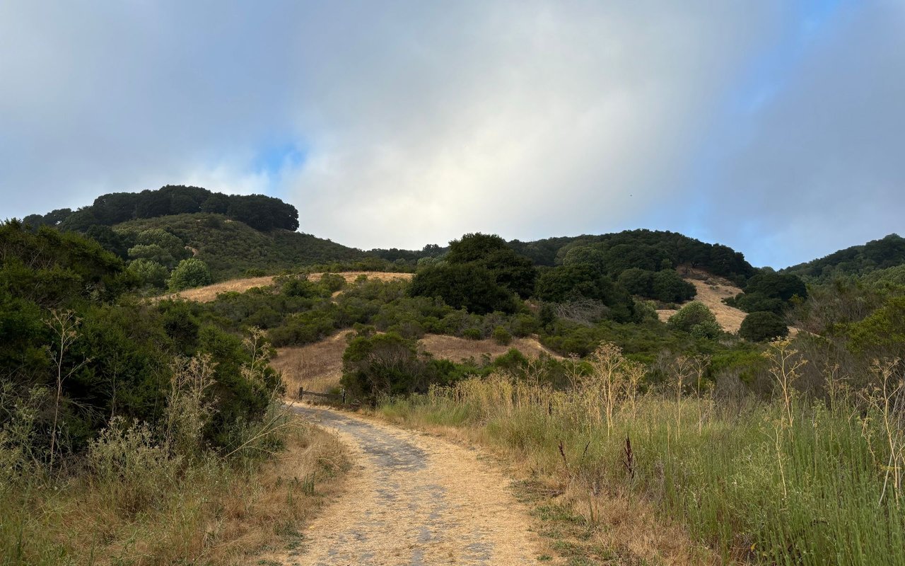 El Sobrante