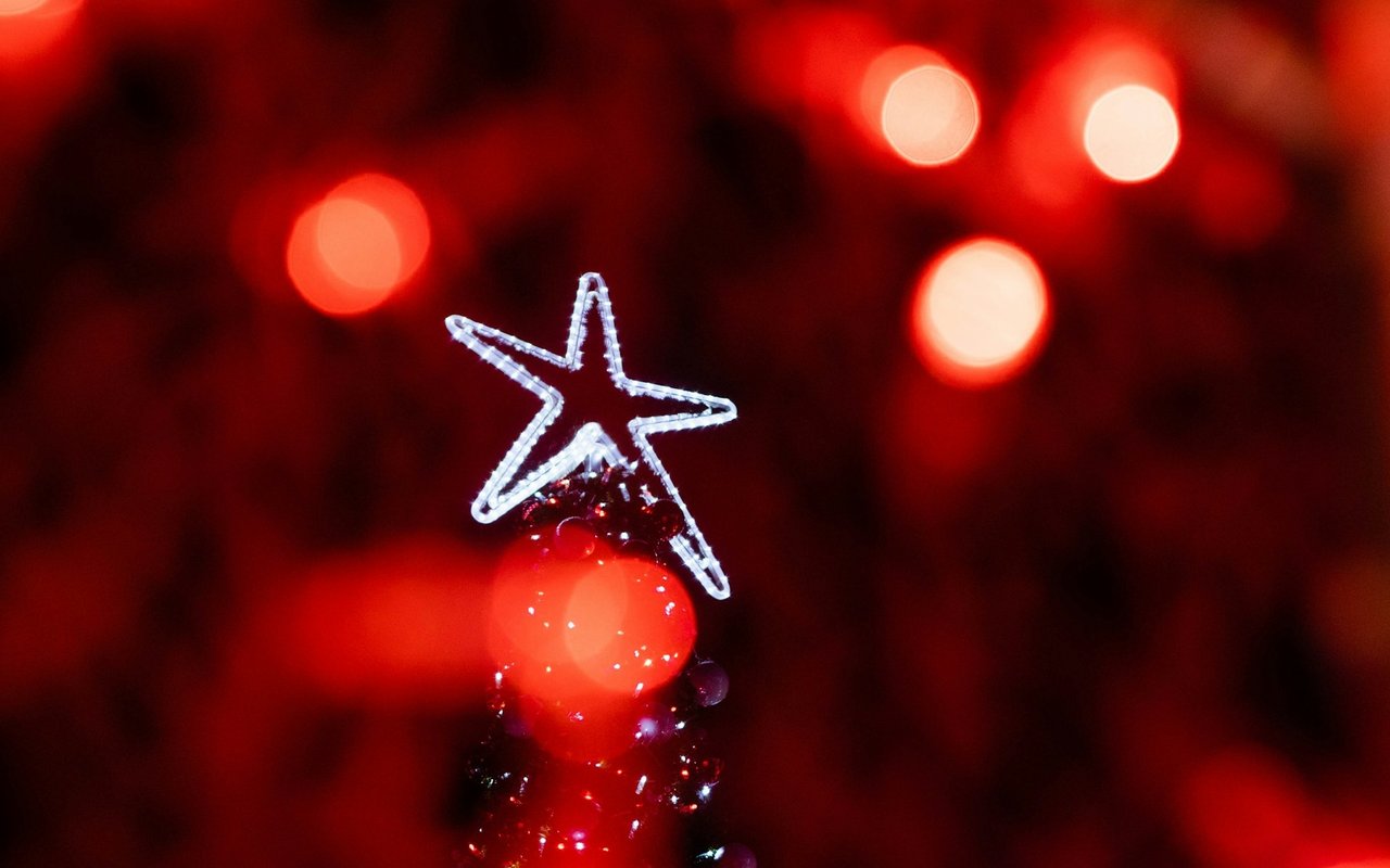 Let There Be Light: Where To Peep Holiday Lights In The East Bay