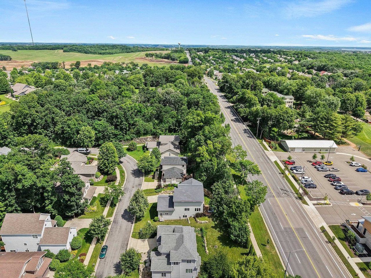 Aerial view of a tree-lined Madison-area neighborhood with mature street trees along a main road in Dane County, Wisconsin.