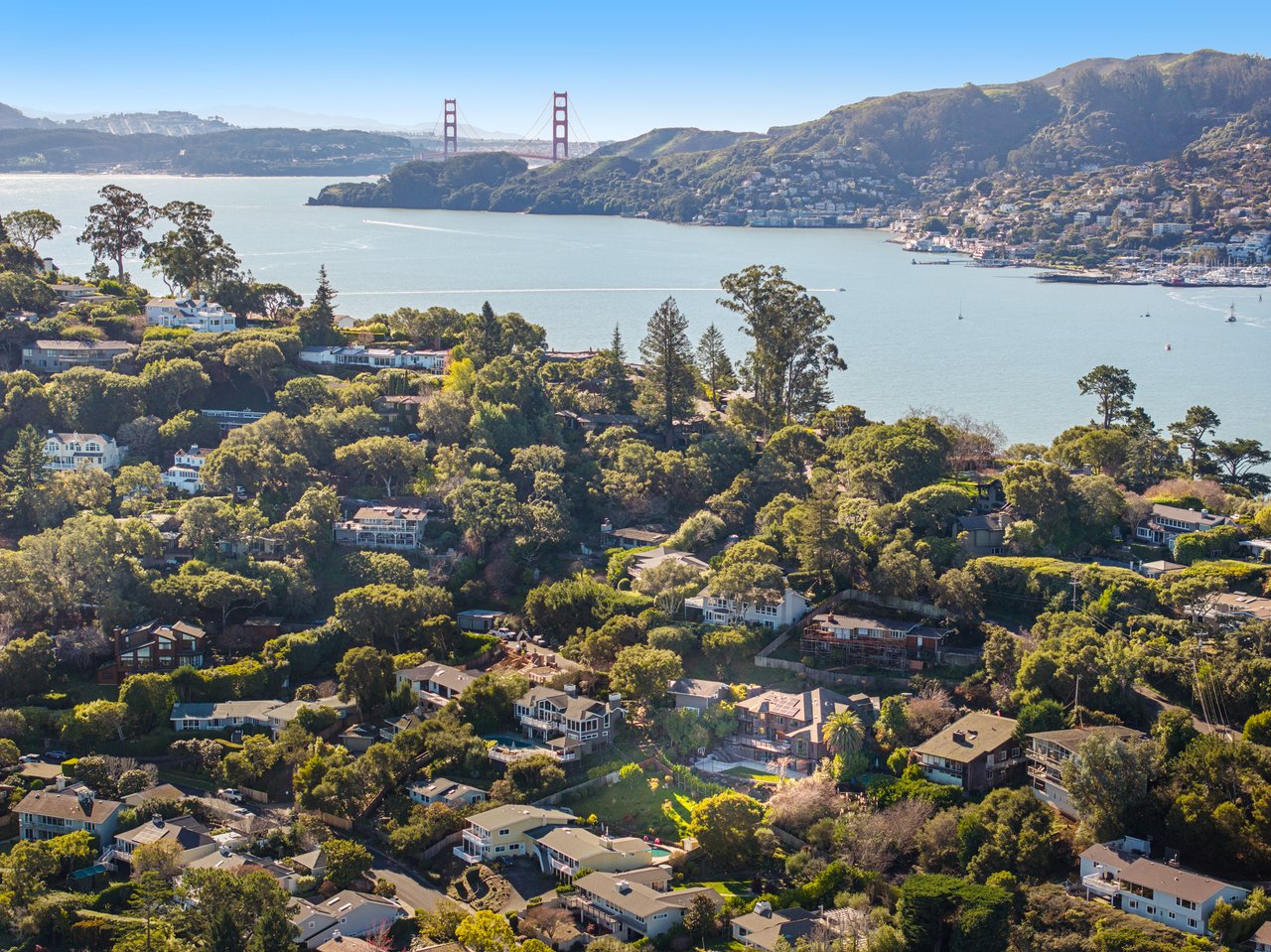 Stylish and Renovated Belvedere Beauty