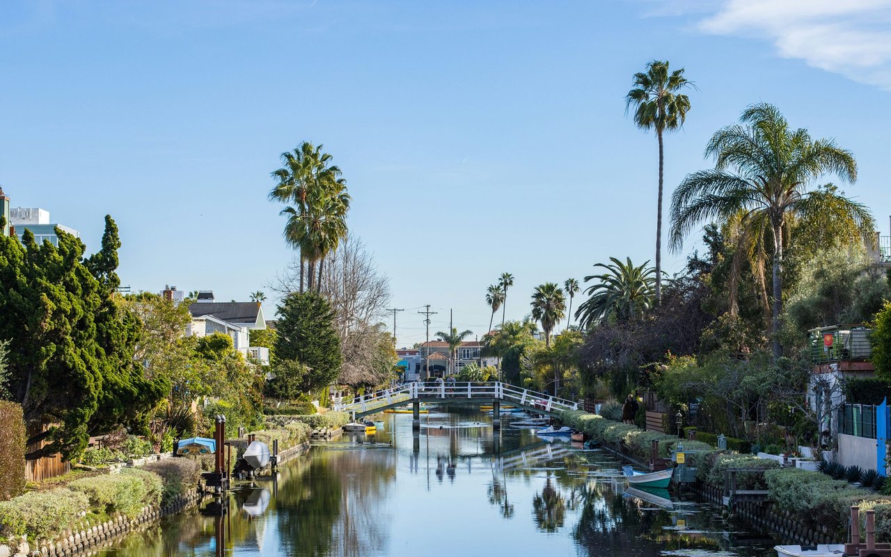 Venice canal lined with palm trees and homes, with boats and a white pedestrian bridge.