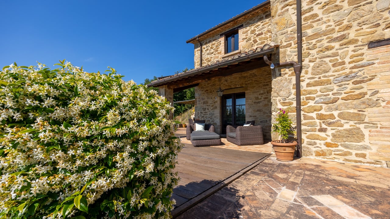 L’ERTA VISTA