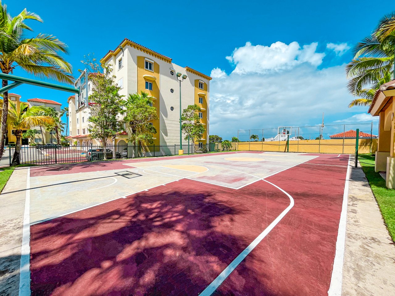 Royal Palm B-502