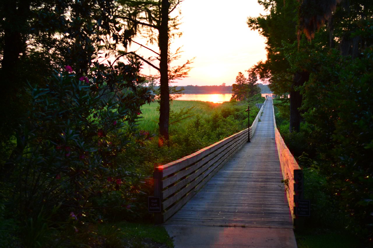 Allston River Bluffs