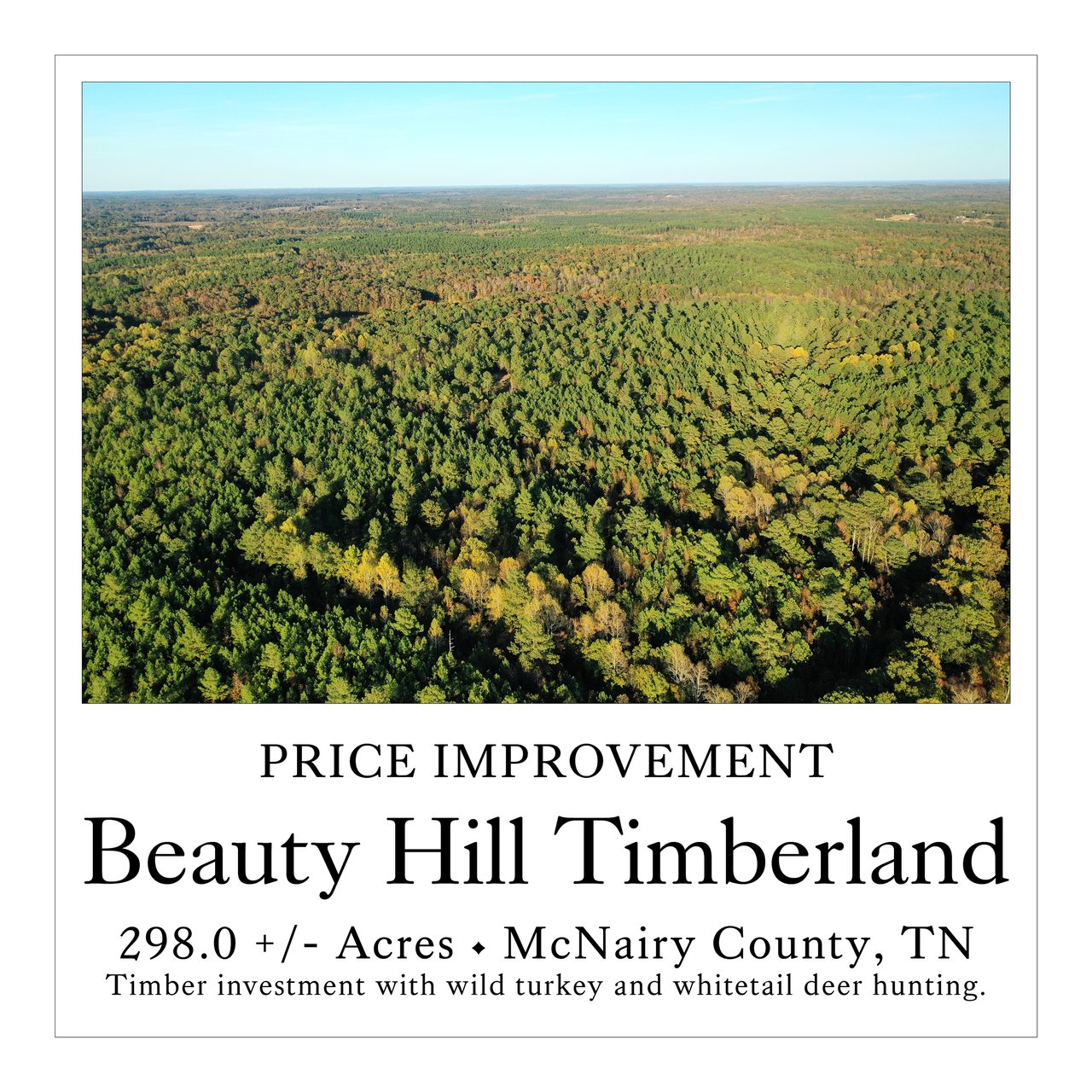 Beauty Hill Timberland