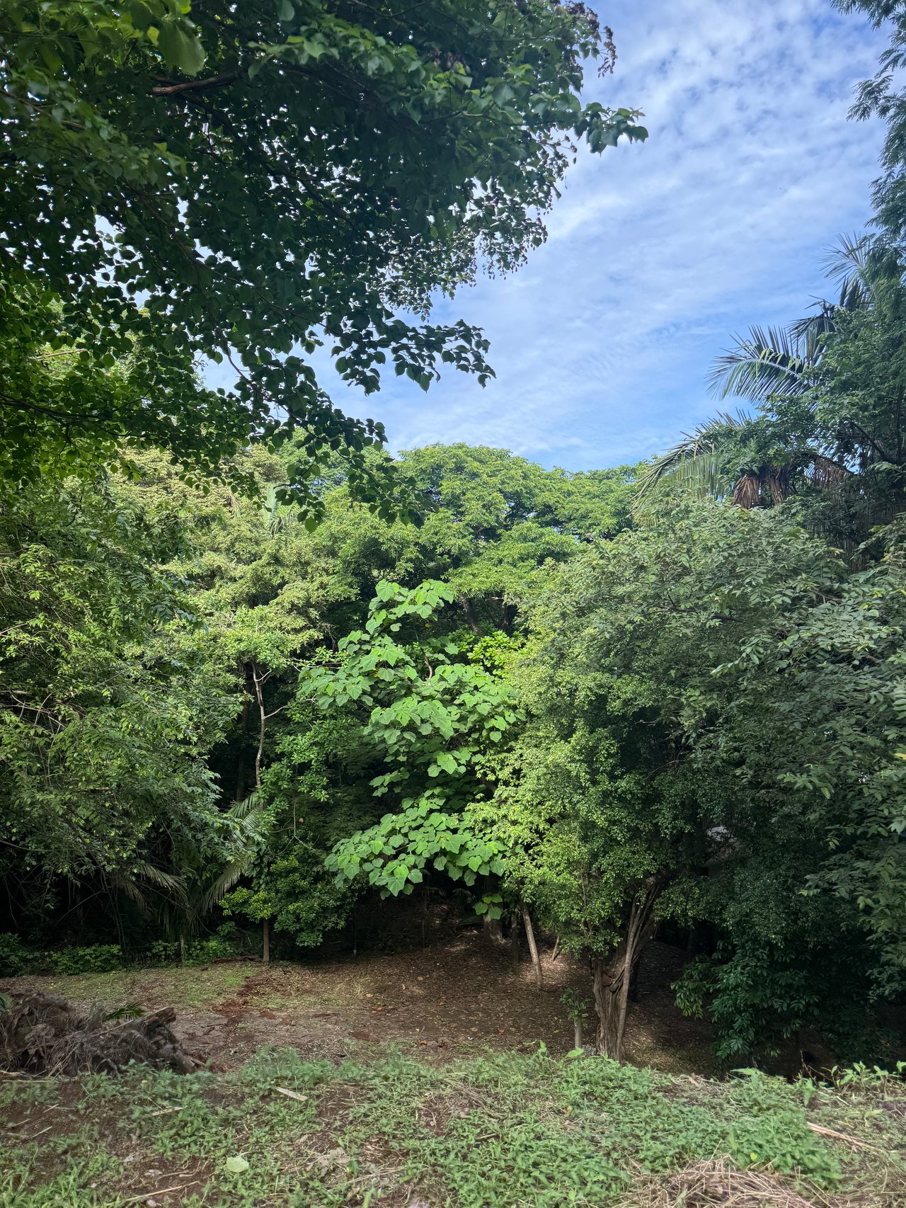 Lote en Nosara , Nosara, Guanacaste