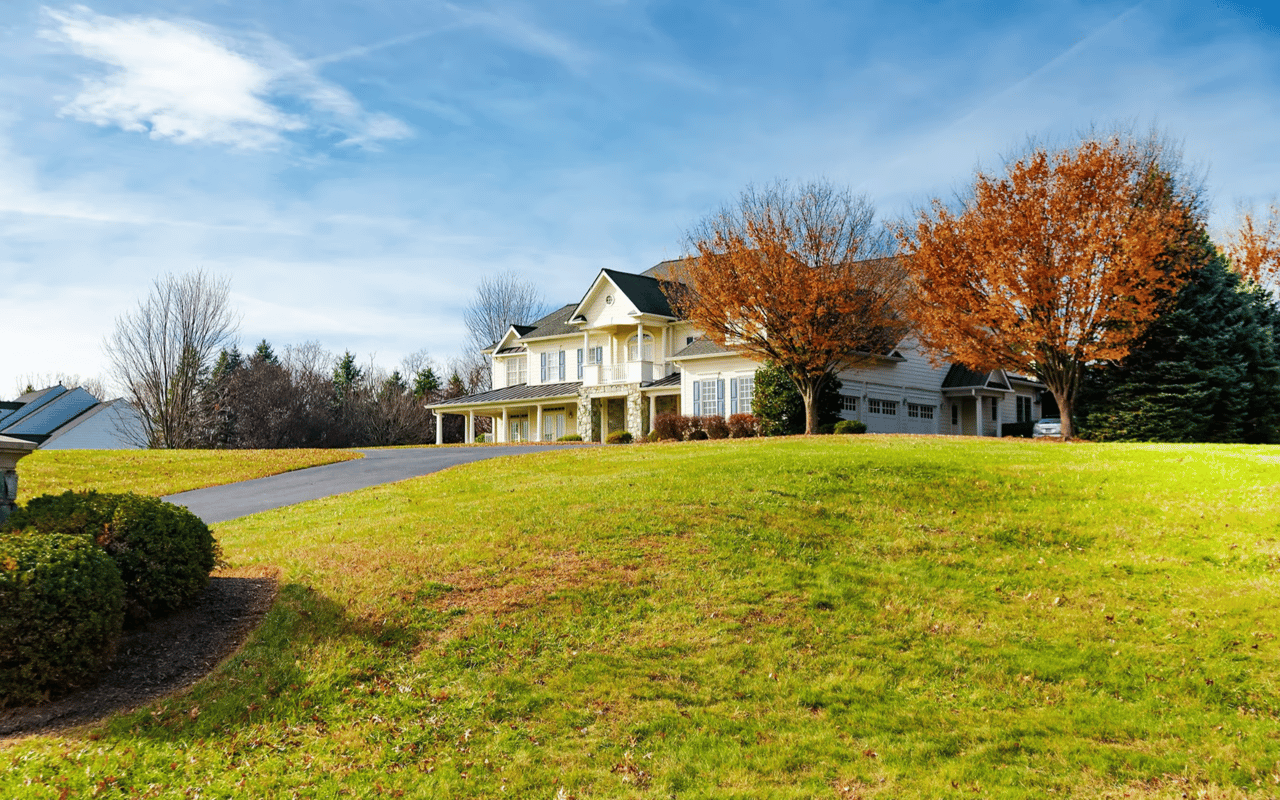 Louisa County