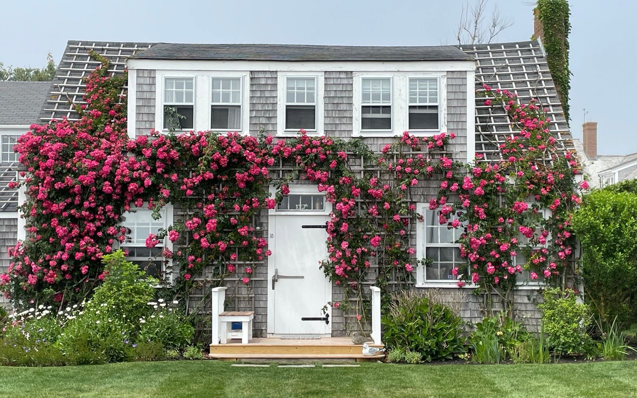 main